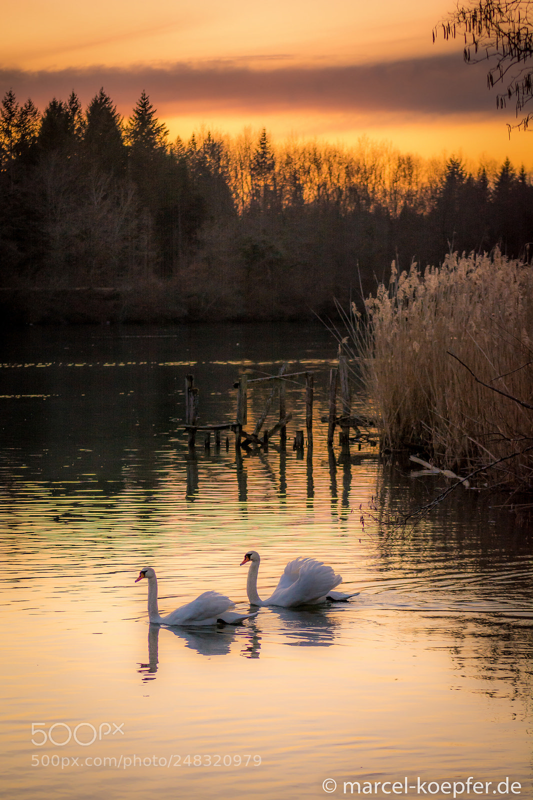 Nikon D5200 sample photo. Rhine sunset photography