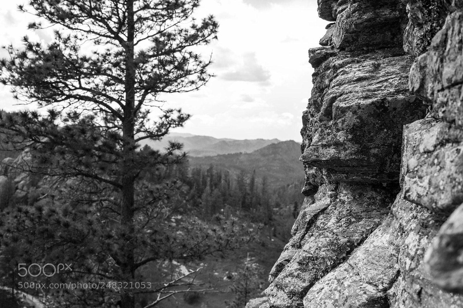 Canon EOS 750D (EOS Rebel T6i / EOS Kiss X8i) sample photo. Climbing high photography