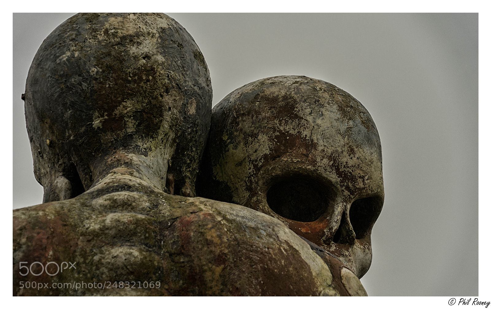 Sony a7R sample photo. Entwined & embraced photography
