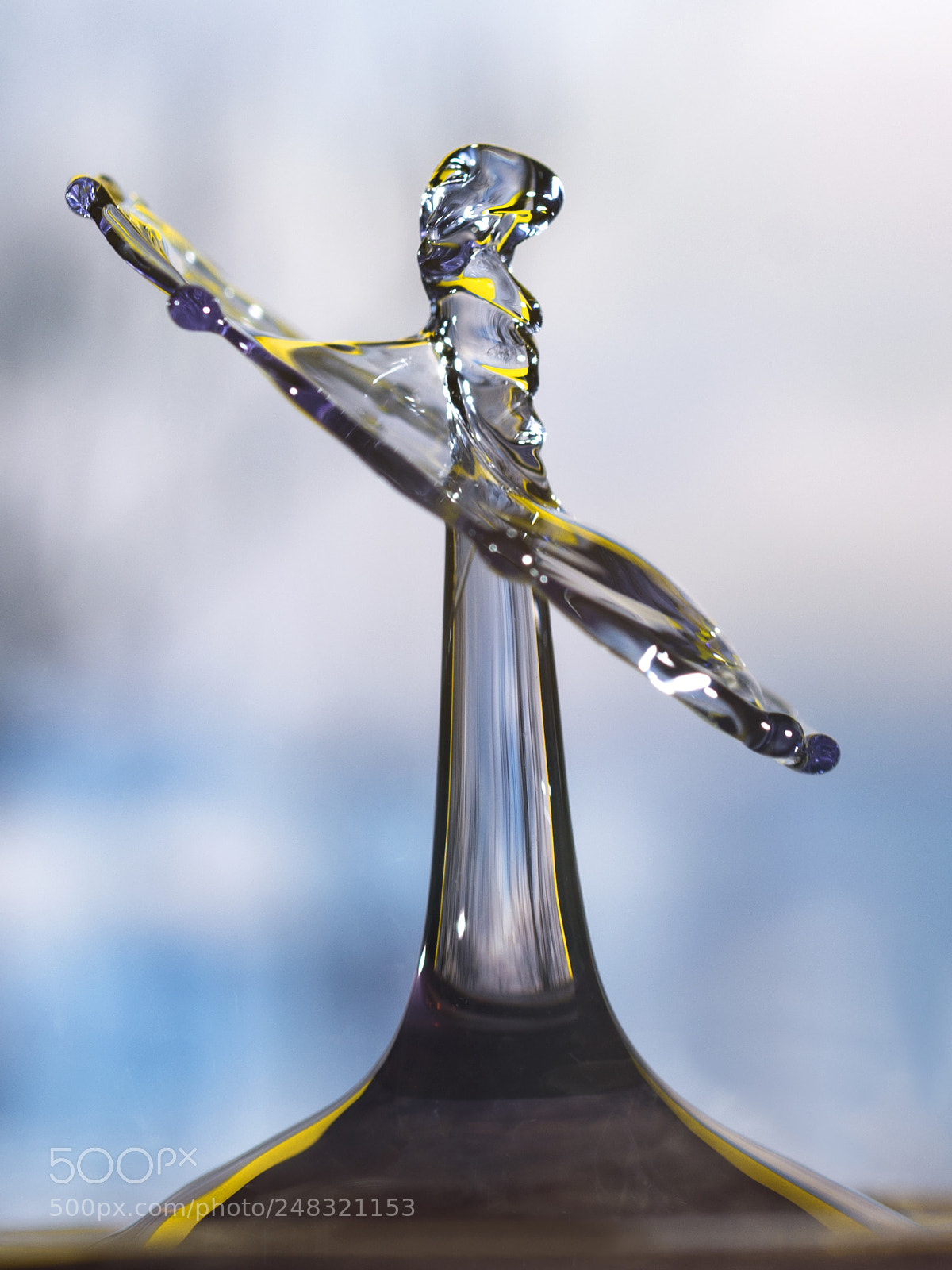 Nikon D7200 sample photo. Twisted top photography