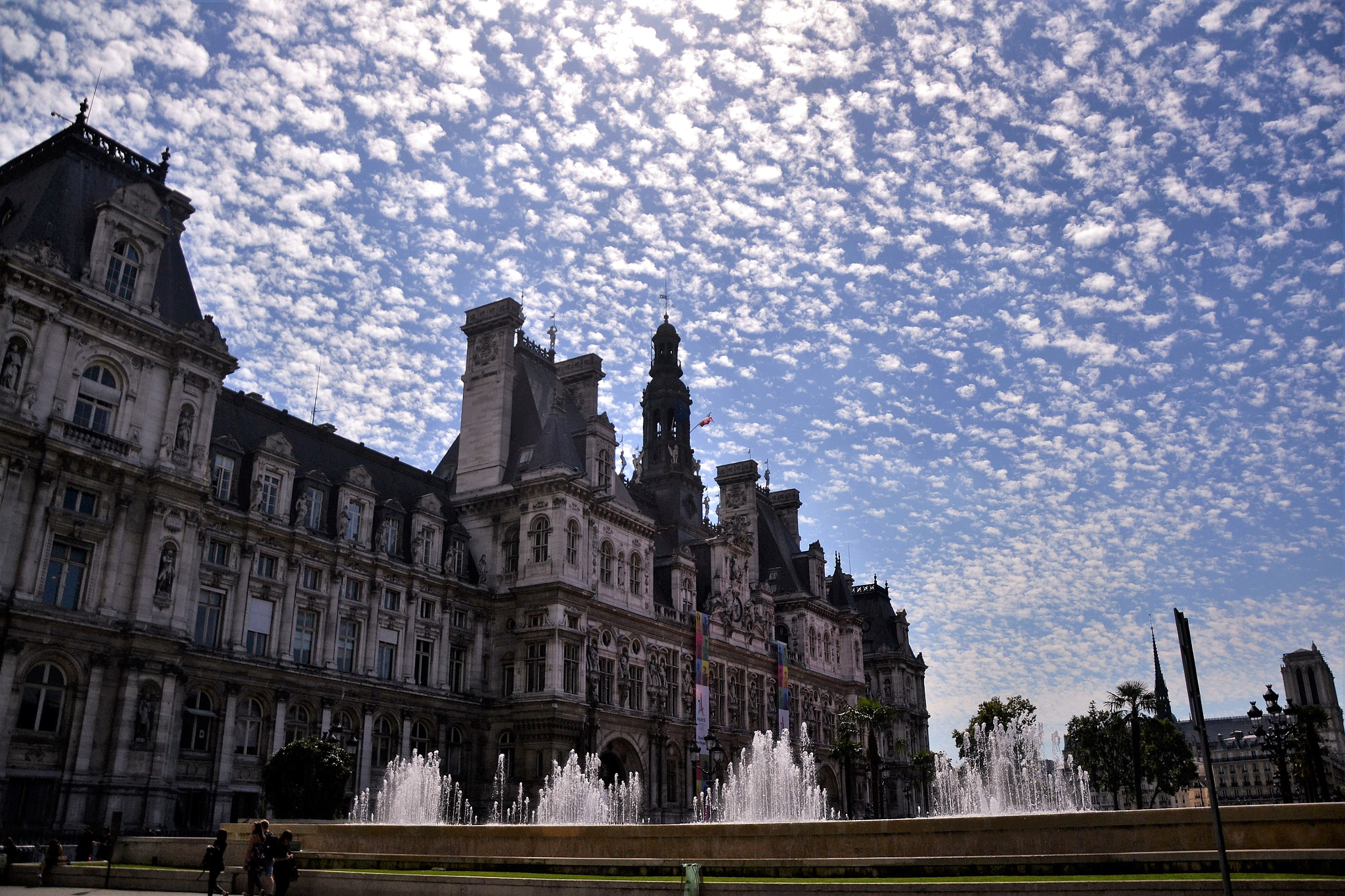 Nikon D3100 sample photo. Sheepish sky in paris photography