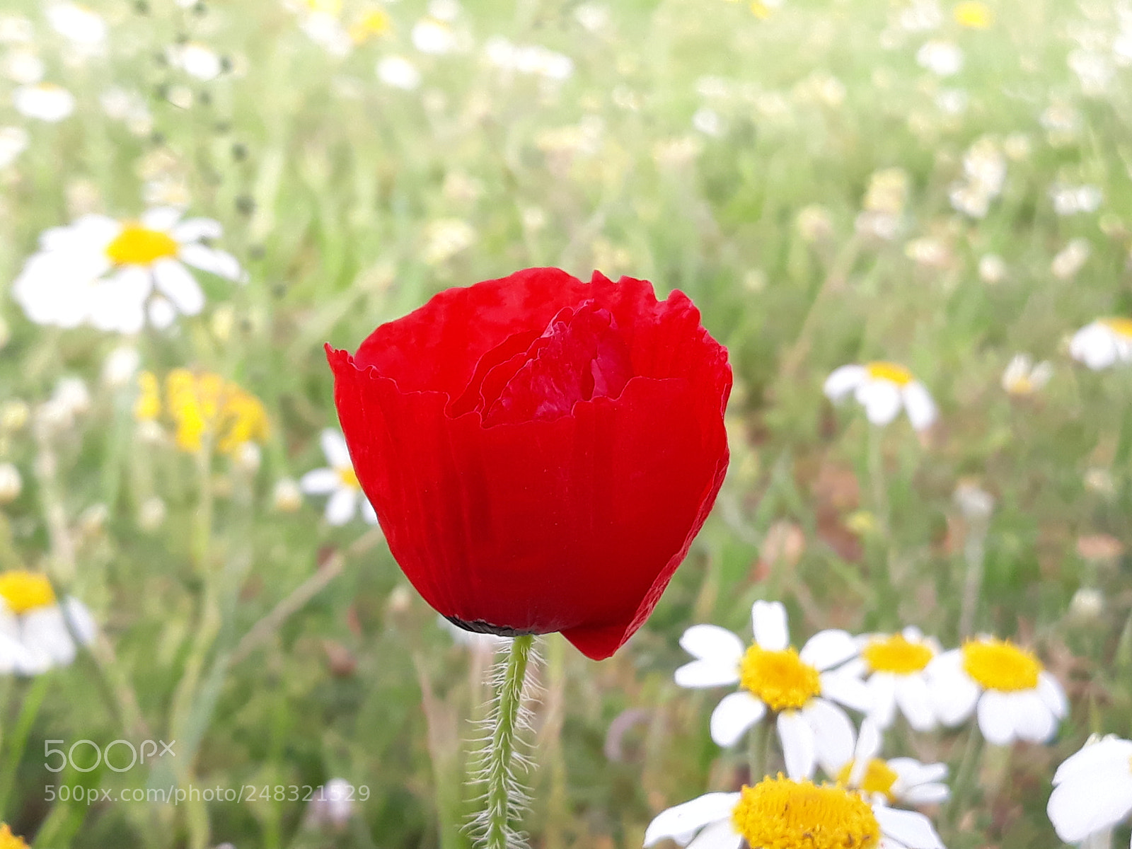 Samsung Galaxy J7 sample photo. Untitled photography