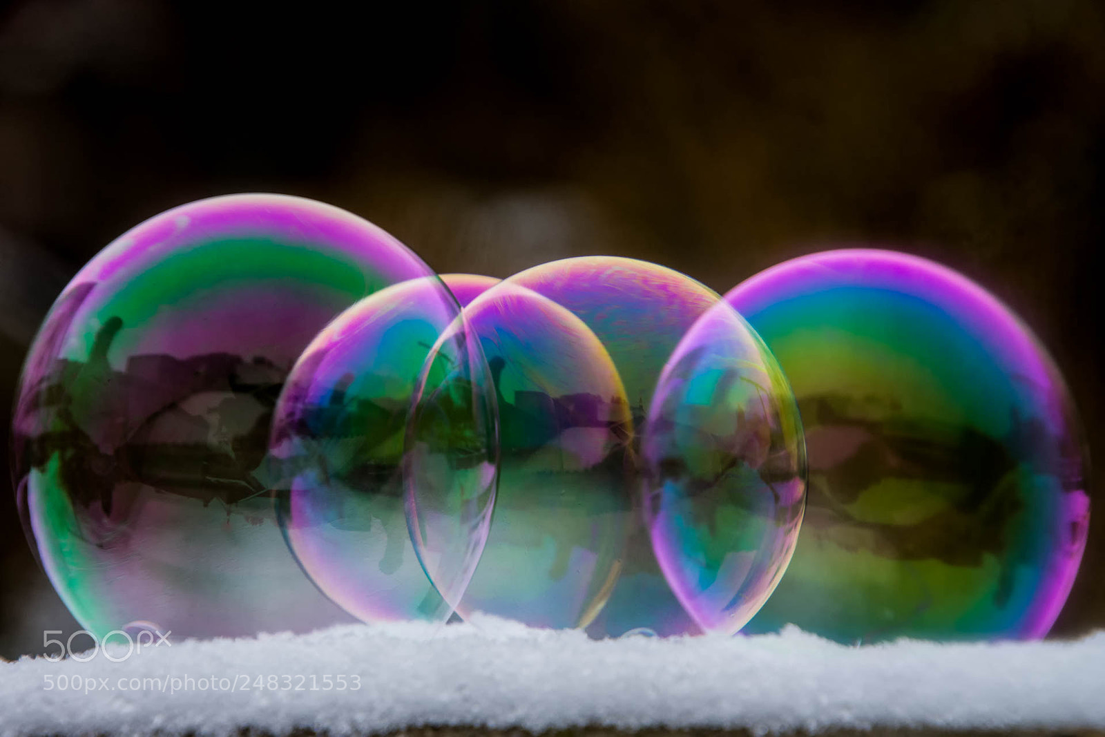 Nikon D7200 sample photo. Bulle photography