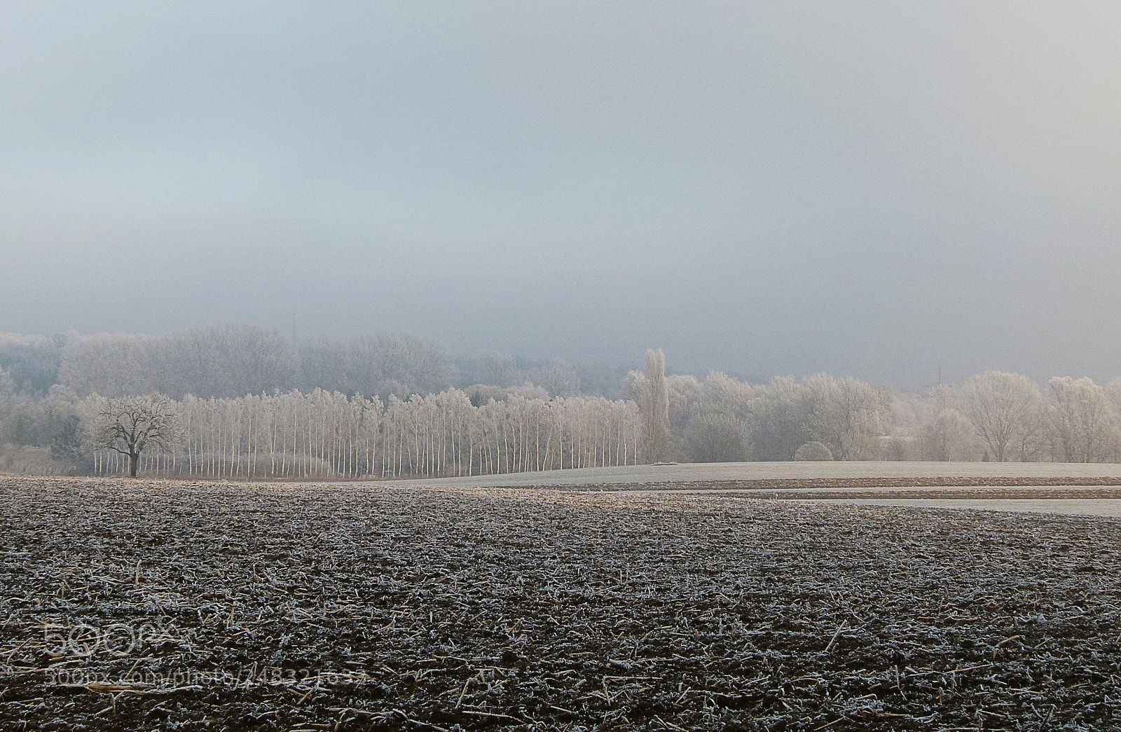 Panasonic Lumix DMC-FZ100 sample photo. Frost photography