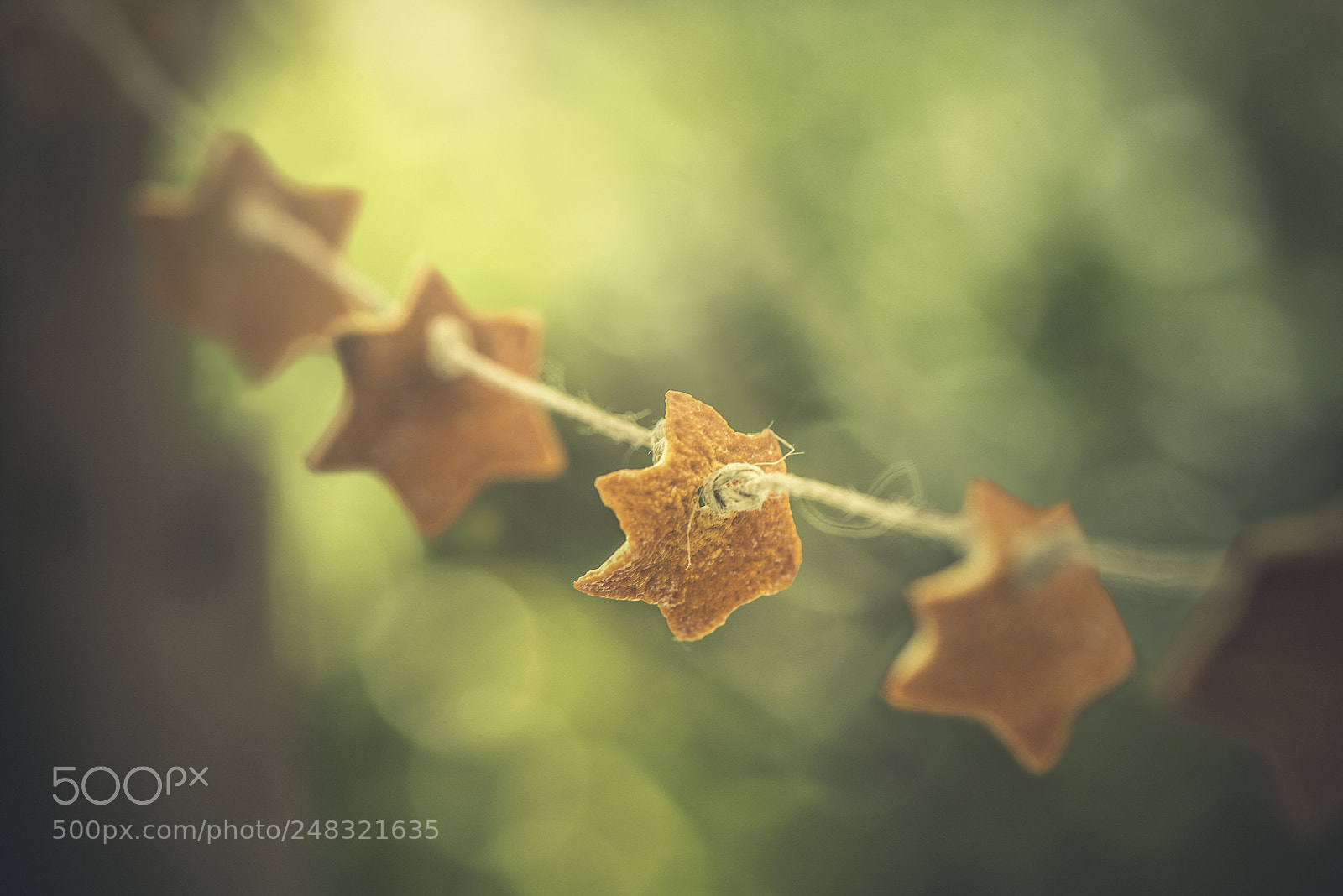 Nikon D600 sample photo. Orange peel stars garland photography