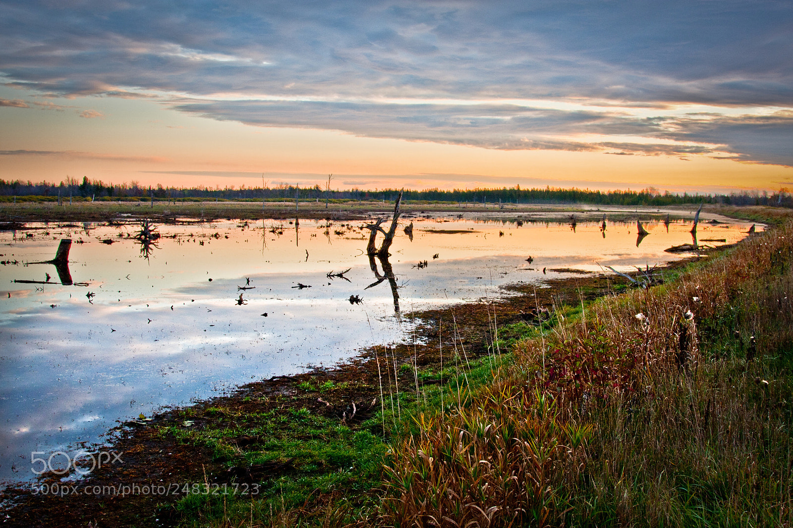 Canon EOS 40D sample photo. Sunrise at a wildlife photography