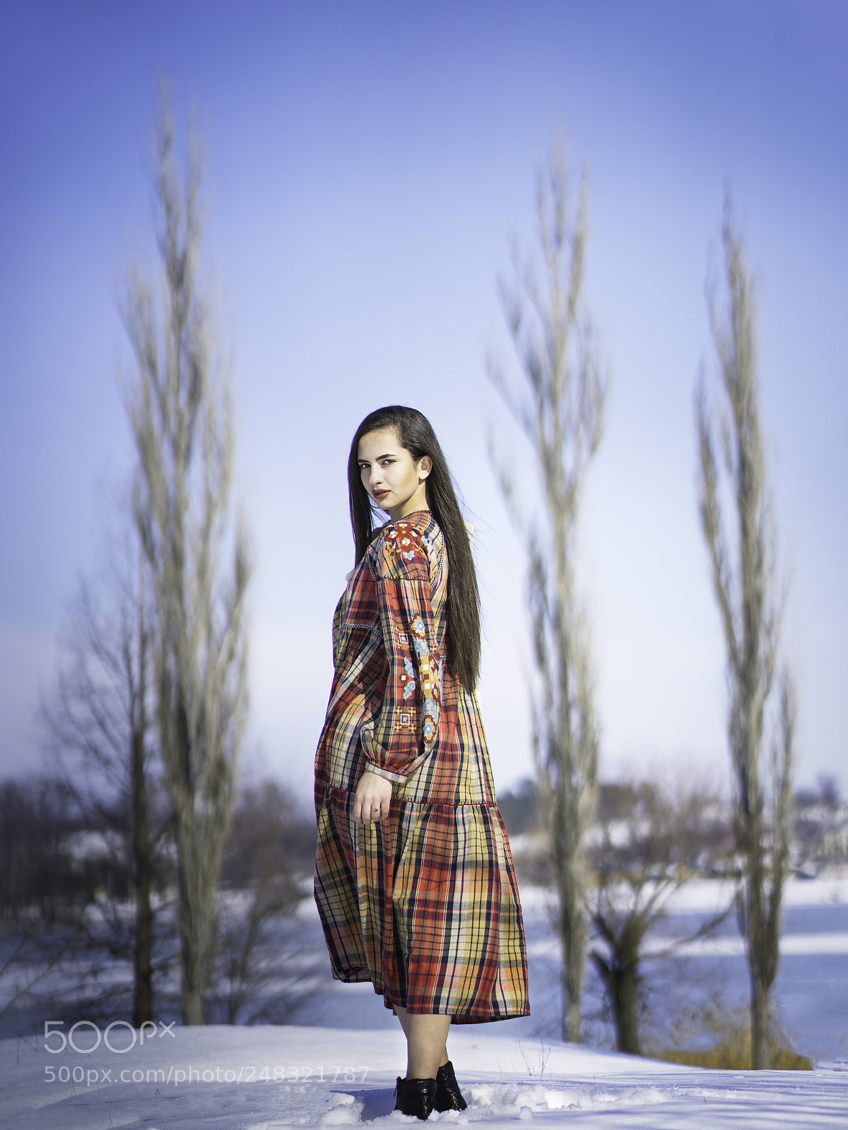 Sony a7 II sample photo. Winter 1 photography