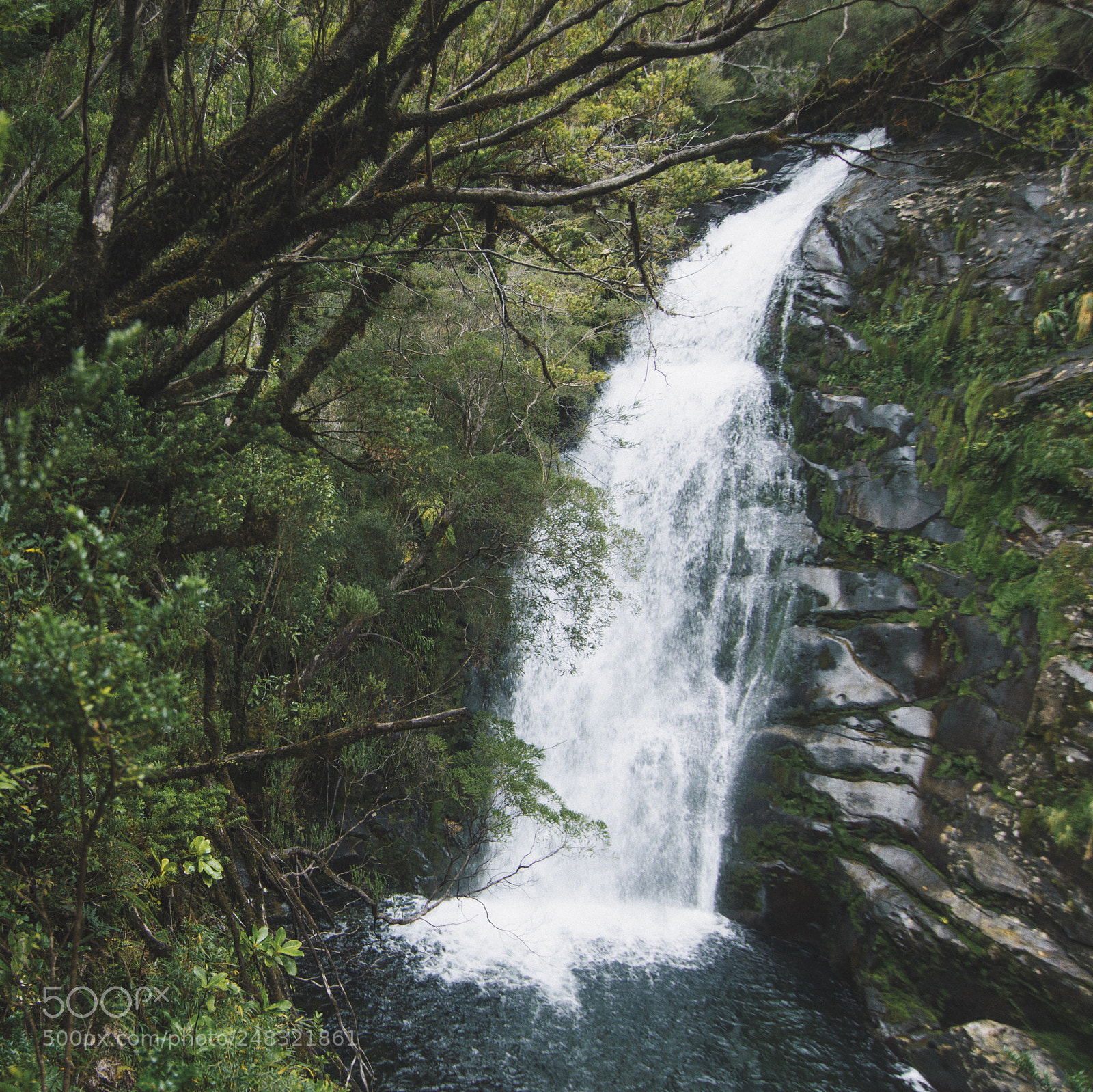 Nikon D3200 sample photo. There's water everywhere over photography