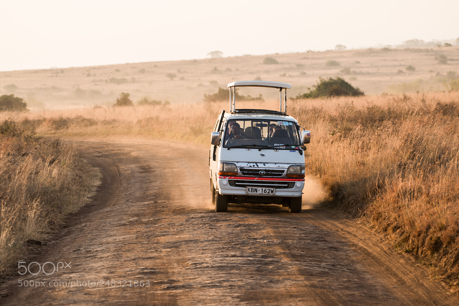 Nikon D850 sample photo. Safari chariot photography