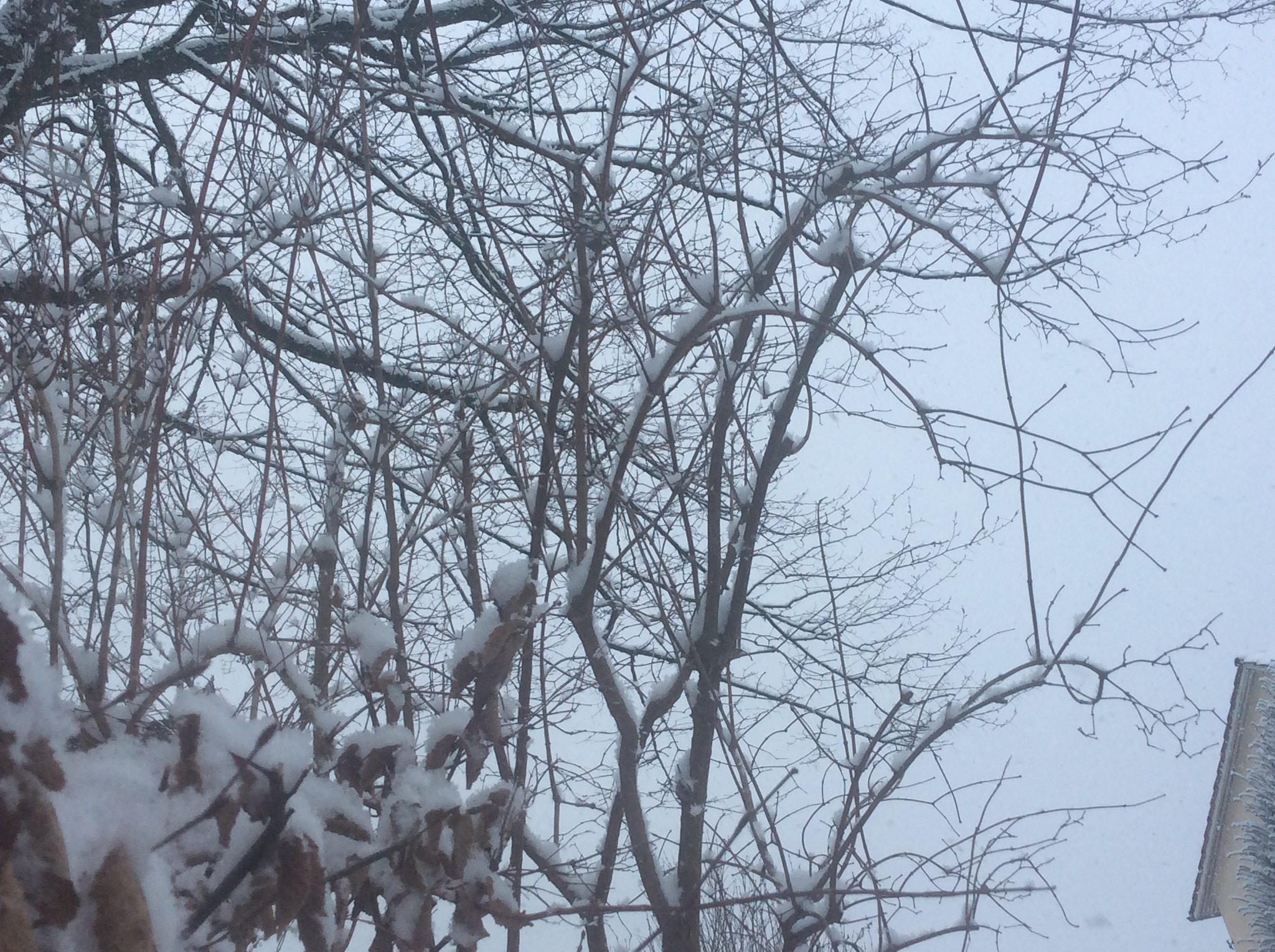 Apple iPad Air sample photo