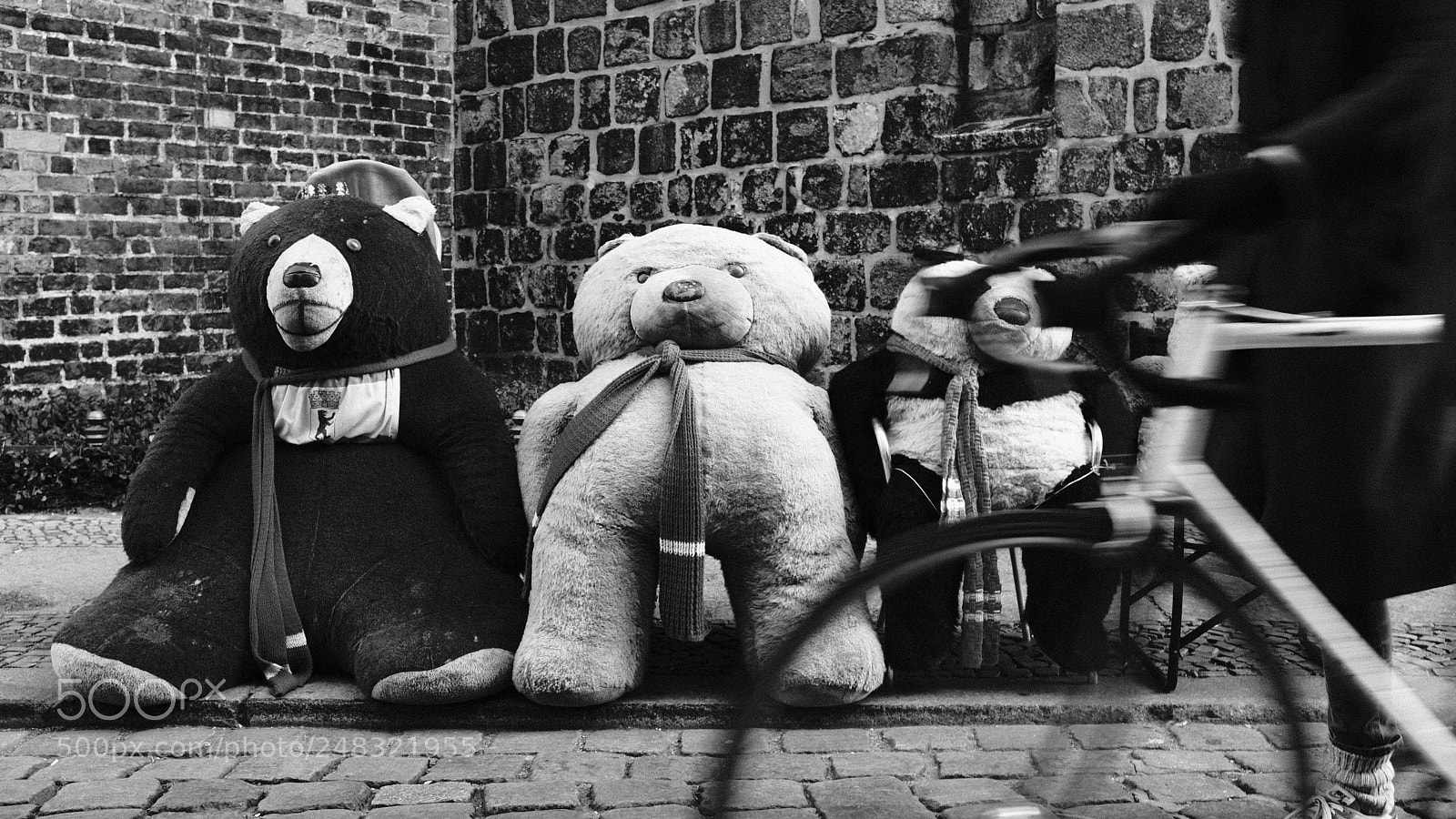 Fujifilm X100F sample photo. Tired bear photography