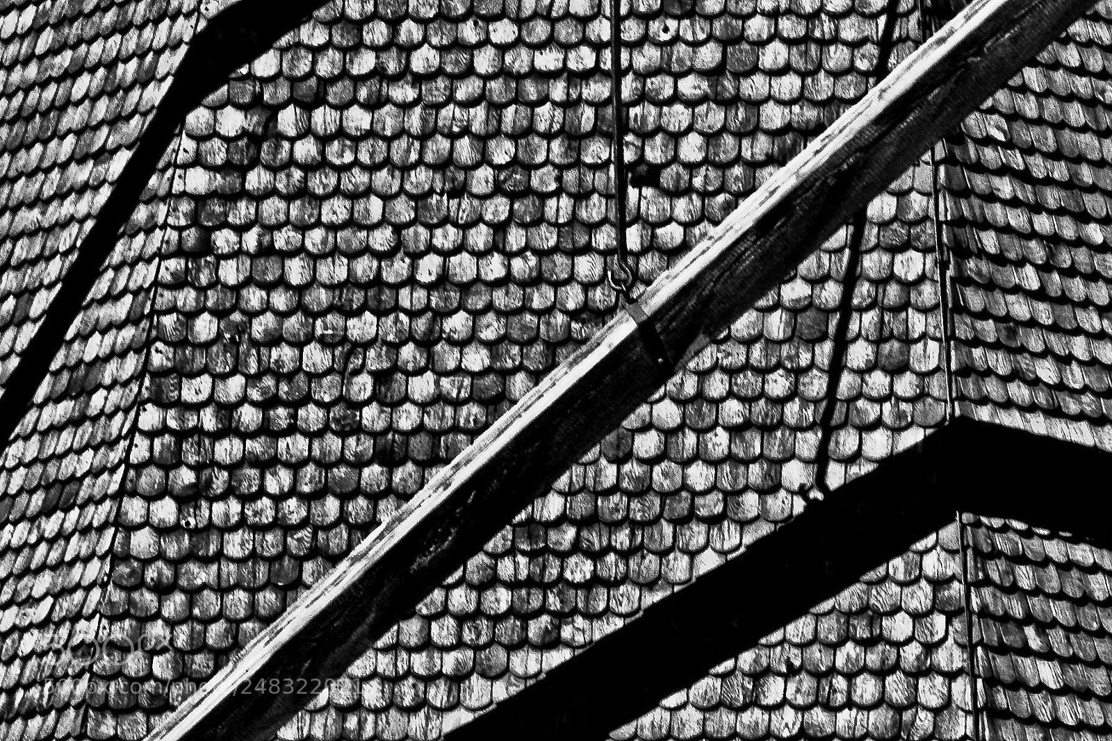Canon EOS 450D (EOS Rebel XSi / EOS Kiss X2) sample photo. Tiles photography