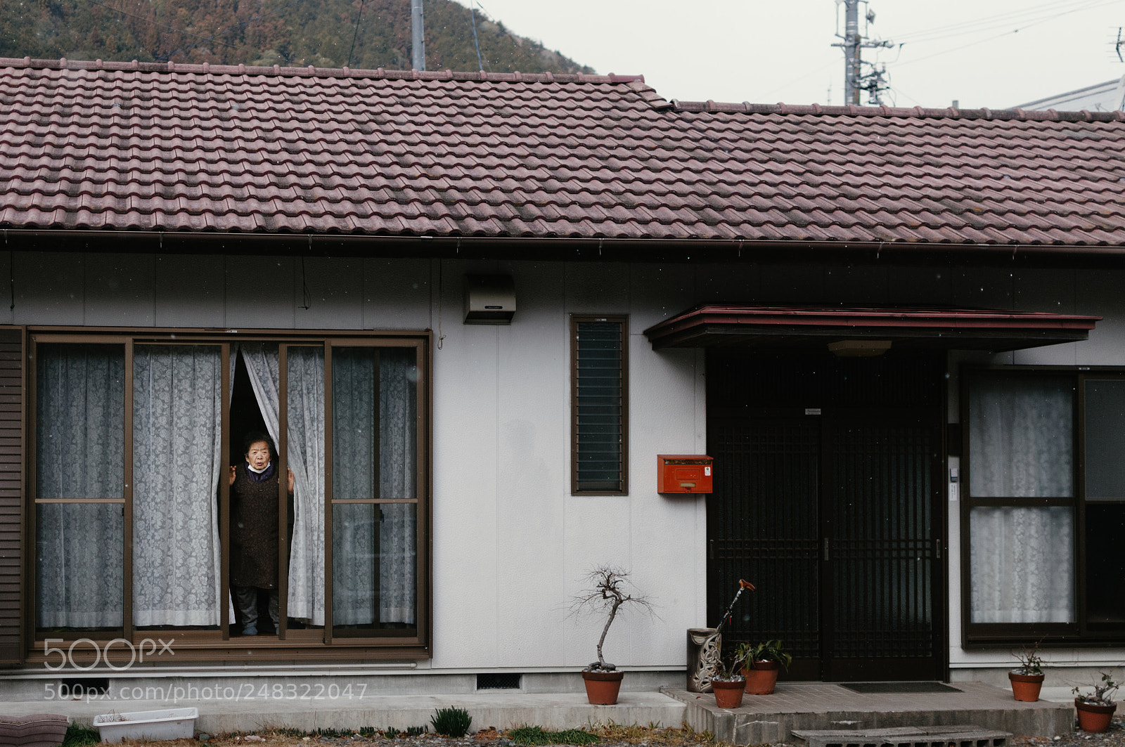 Nikon D300S sample photo. Neighbour photography