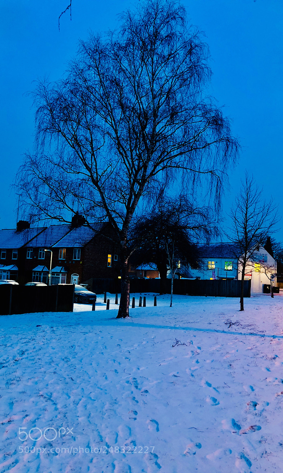 Apple iPhone 8 Plus sample photo. The blue hour photography