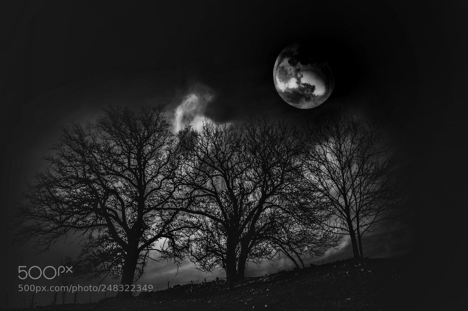 Fujifilm X-T20 sample photo. Mondfinsternis photography