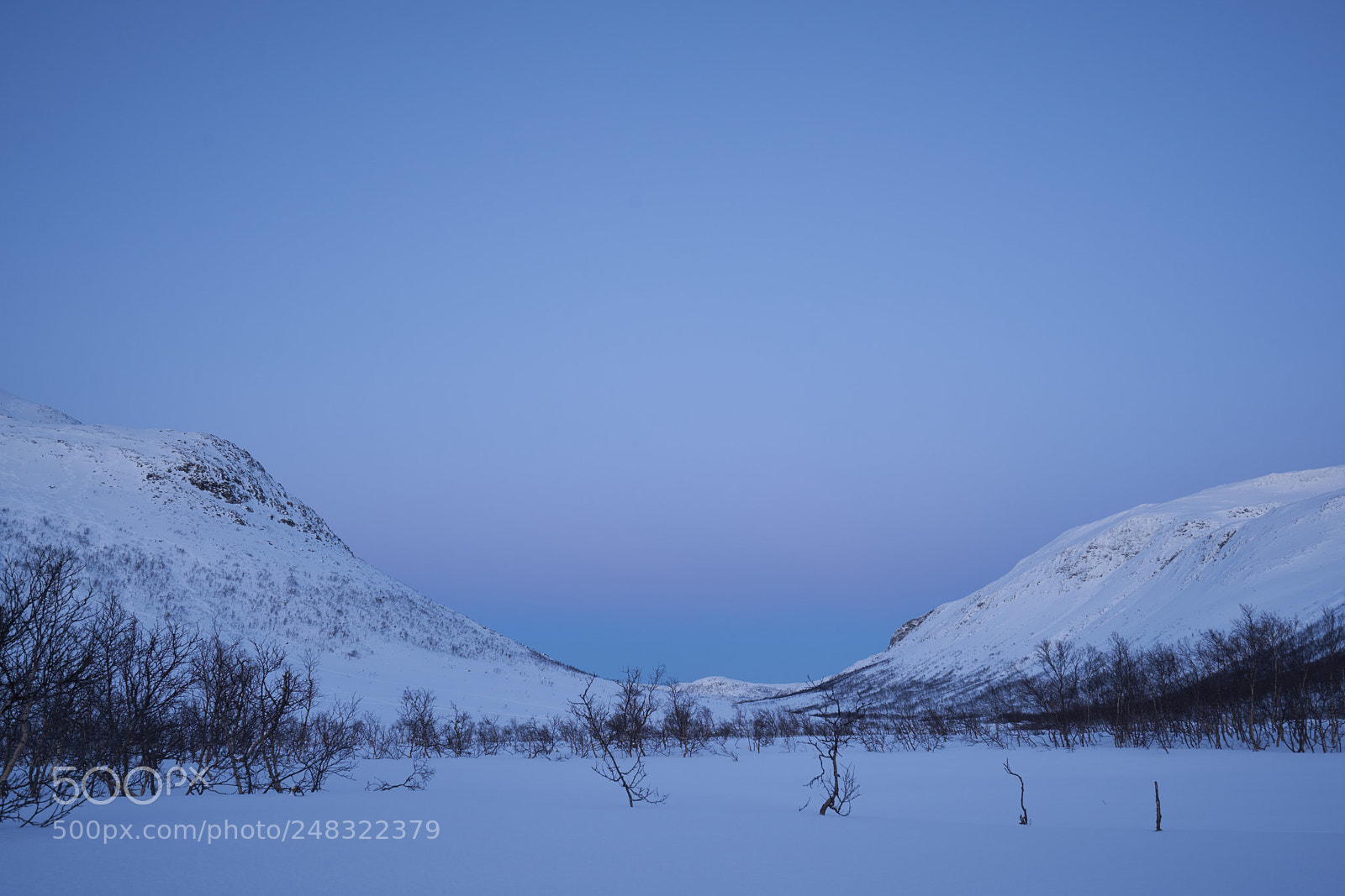 Sony a7R II sample photo. Colors in winter photography