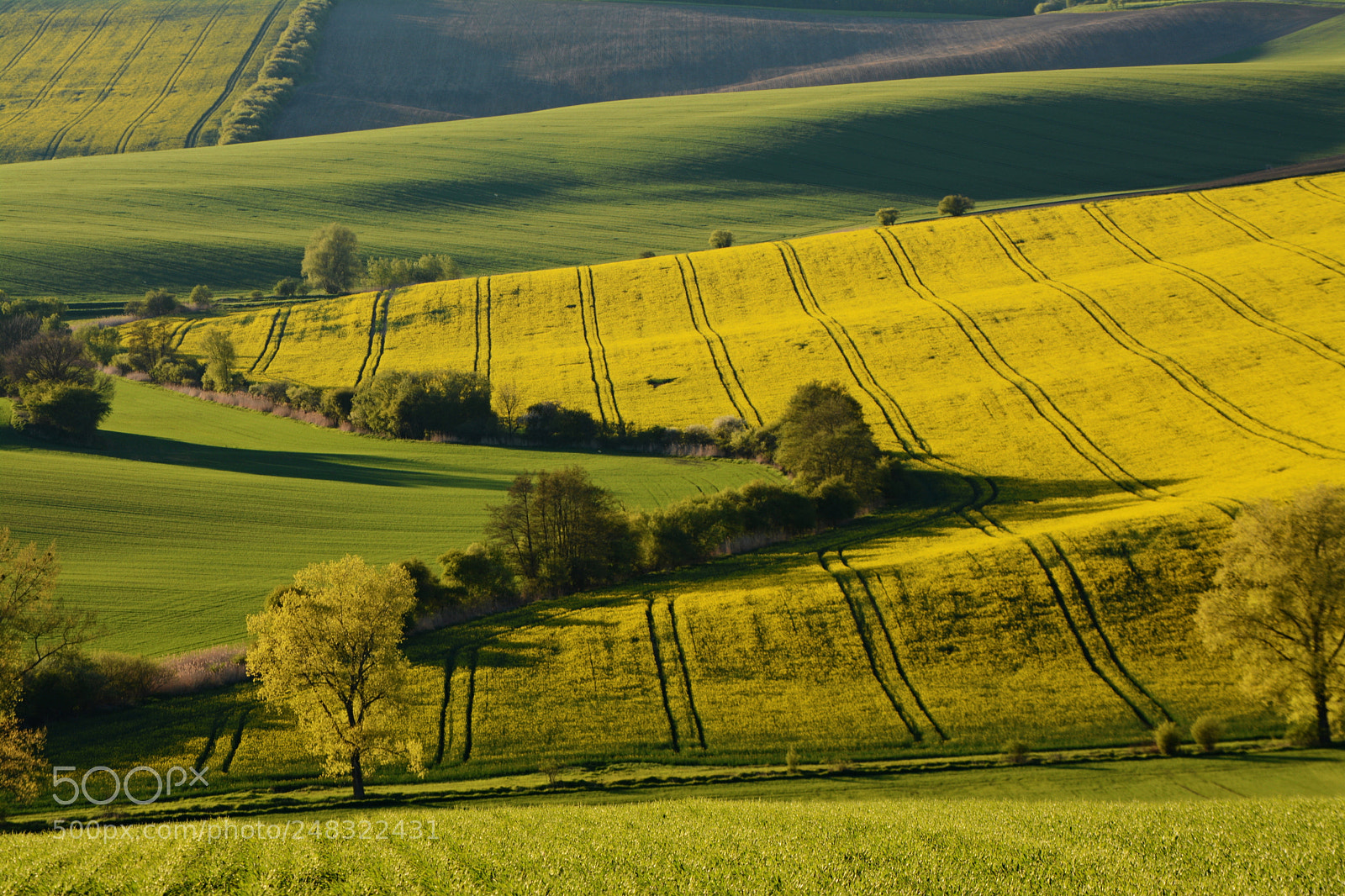 Nikon D7100 sample photo. Spring fields photography