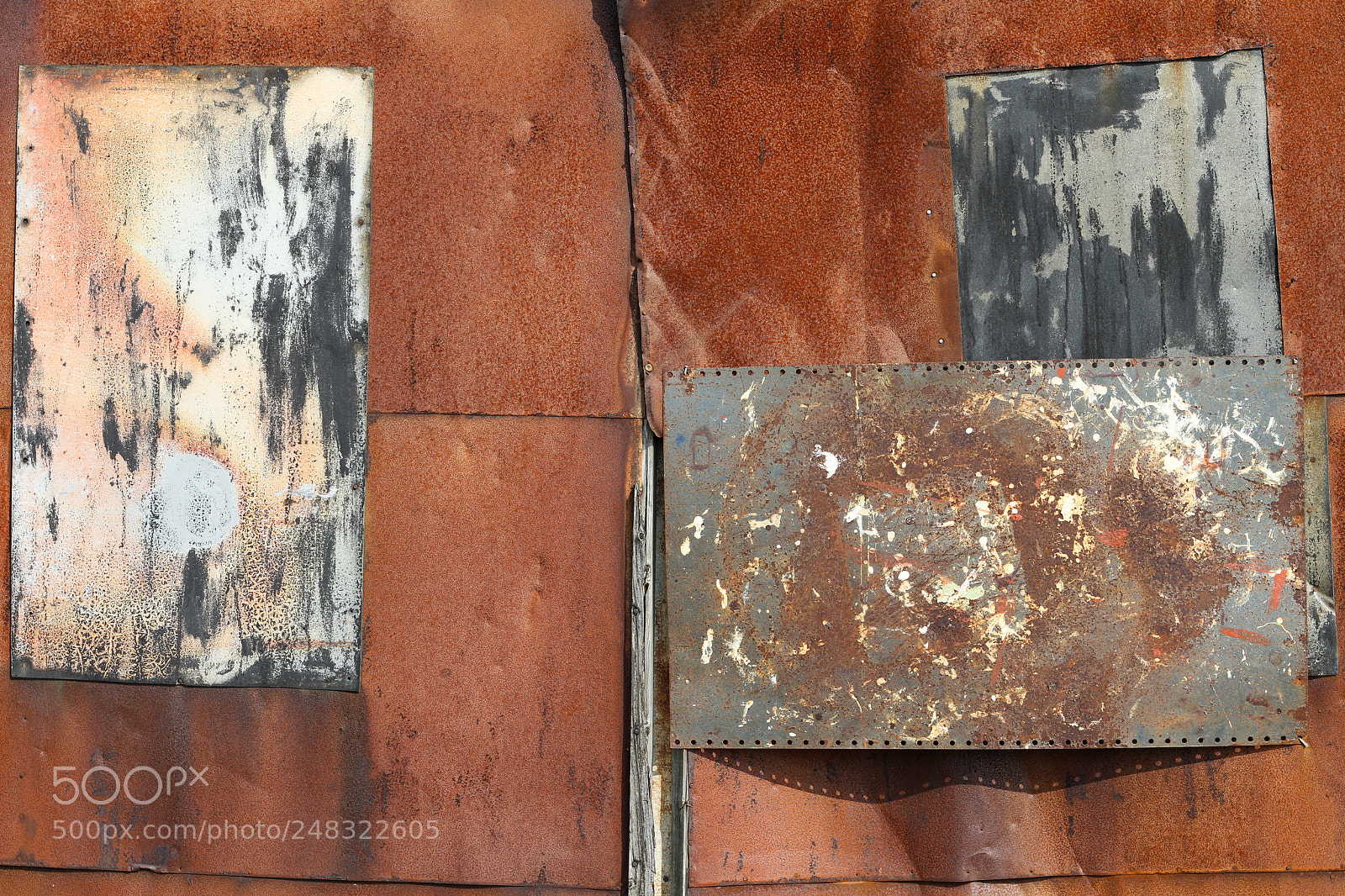 Canon EOS 7D sample photo. Patch photography