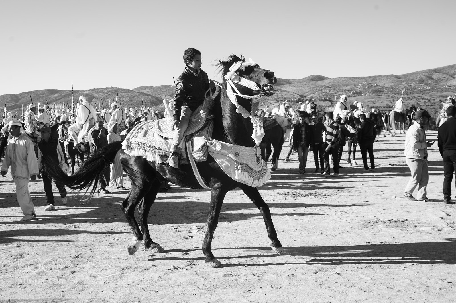 Nikon D700 sample photo. Le petit cavalier photography