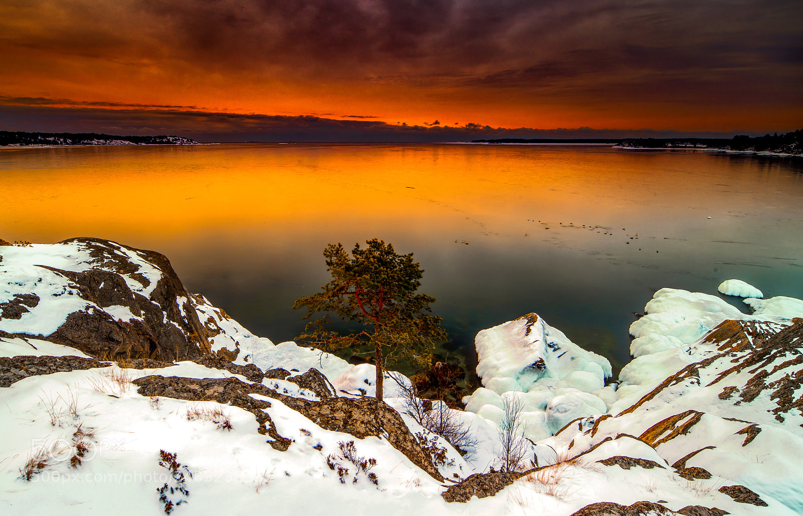 Nikon D850 sample photo. Sweden,nynäshamn photography