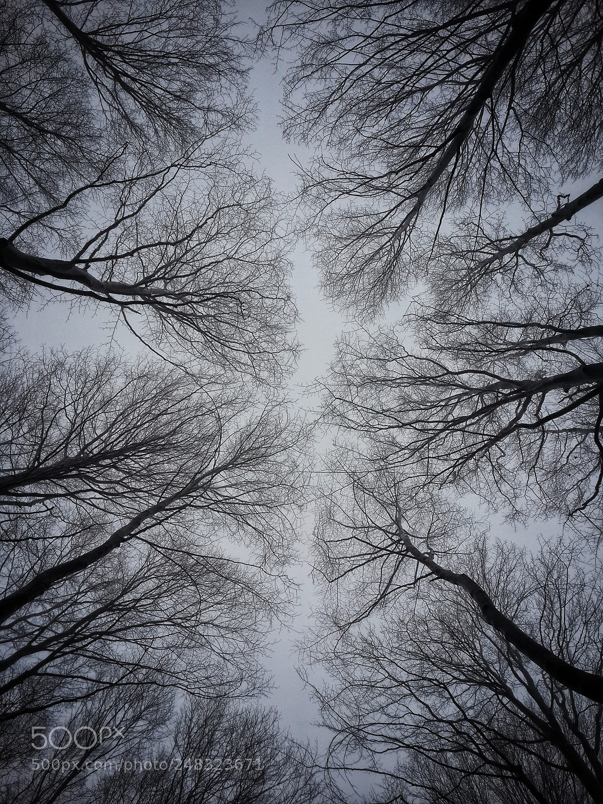 Samsung Galaxy S4 sample photo. Sky photography