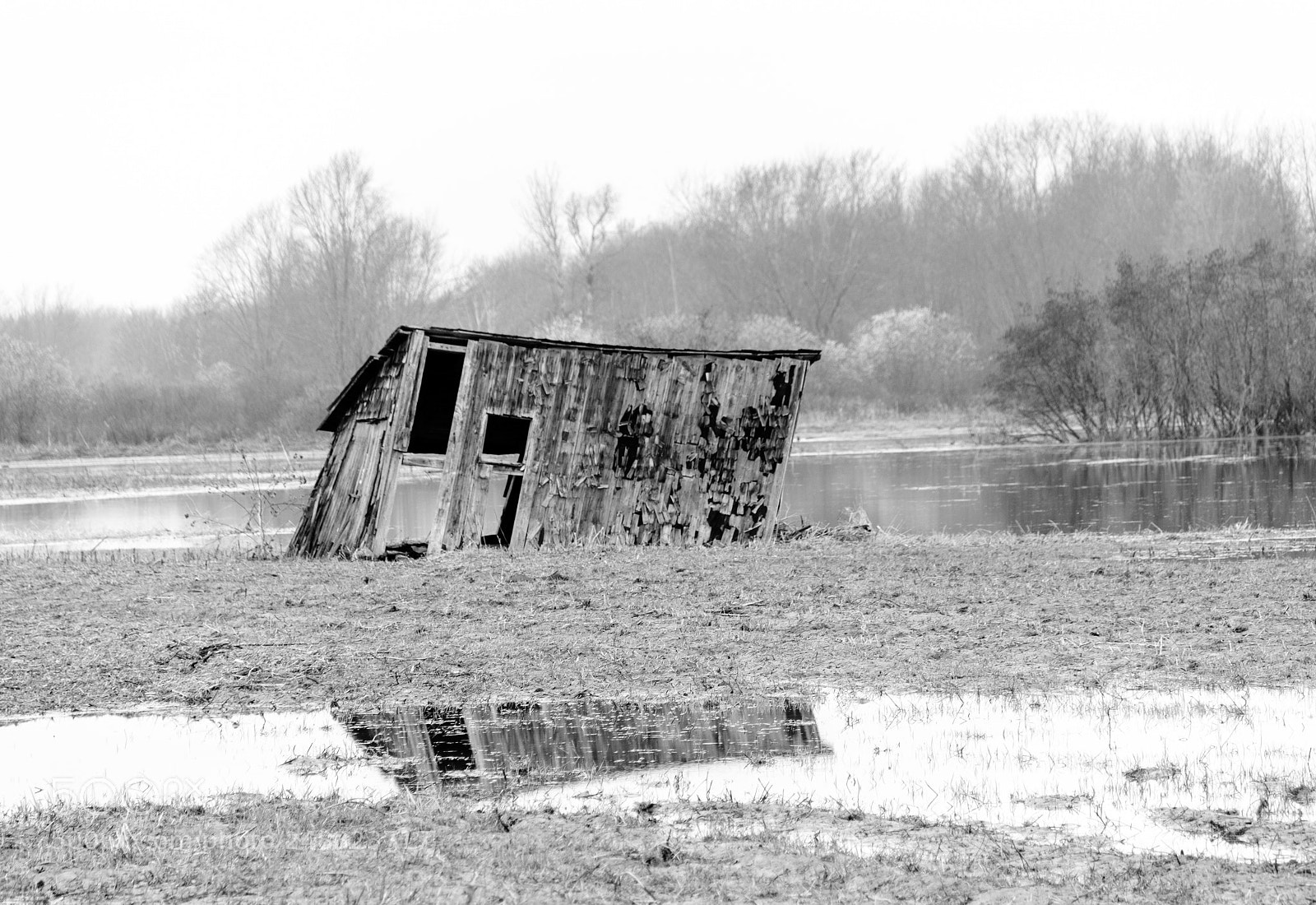 Nikon D500 sample photo. A leaning shed photography