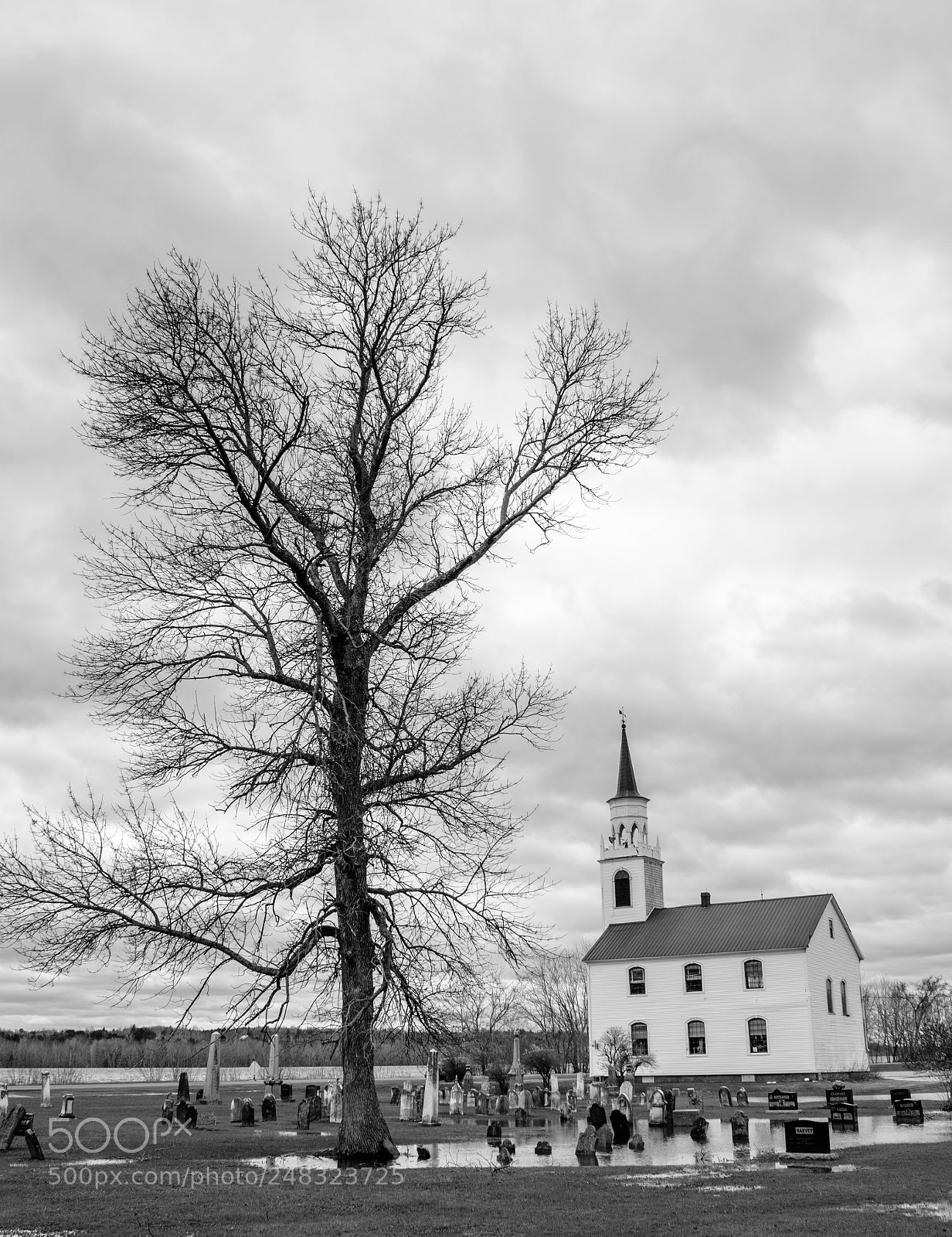 Nikon D500 sample photo. A flooded cemetery photography