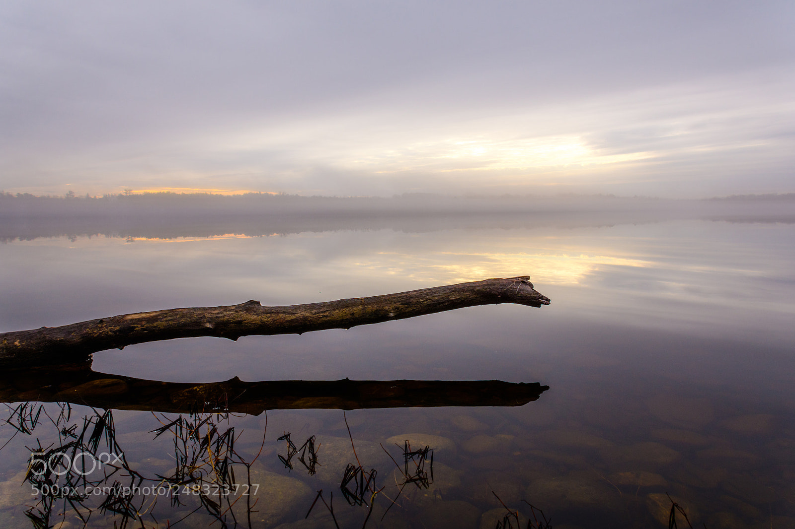 Nikon D500 sample photo. Reflections photography