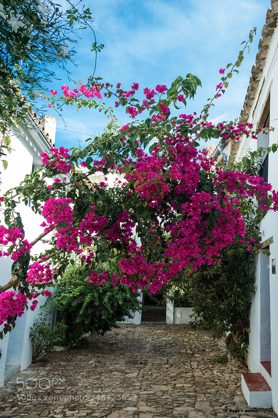 Nikon D3200 sample photo. Castellar-13 photography