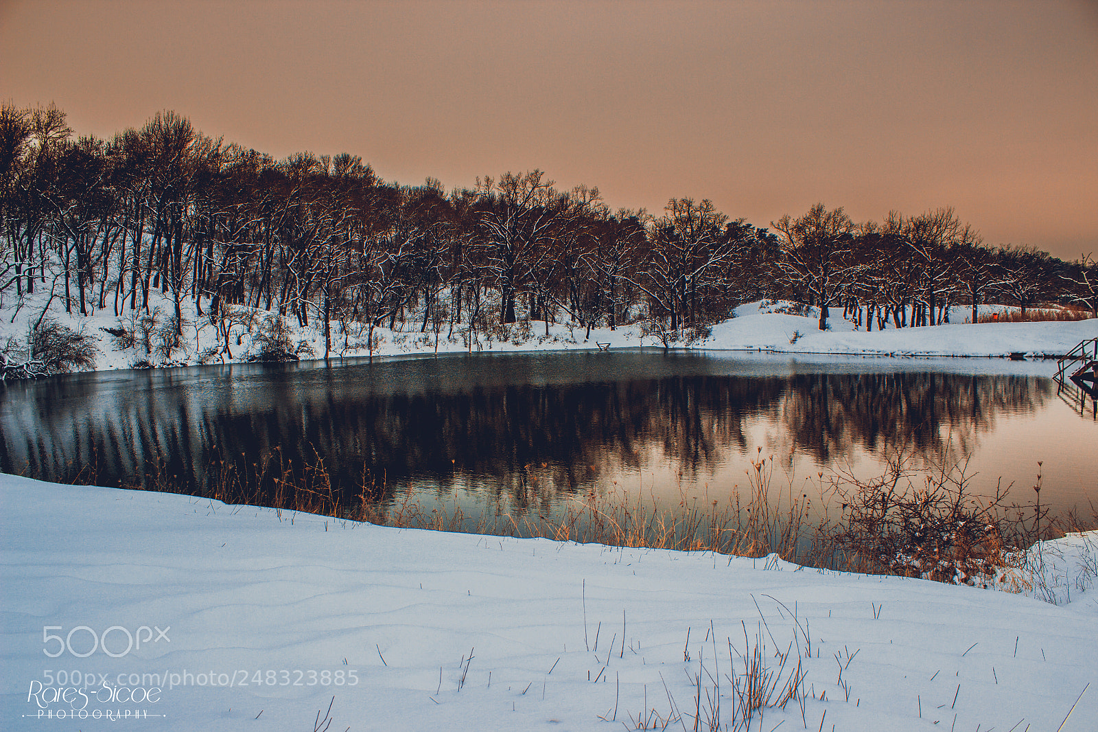 Canon EOS 600D (Rebel EOS T3i / EOS Kiss X5) sample photo. The tarzan lake photography