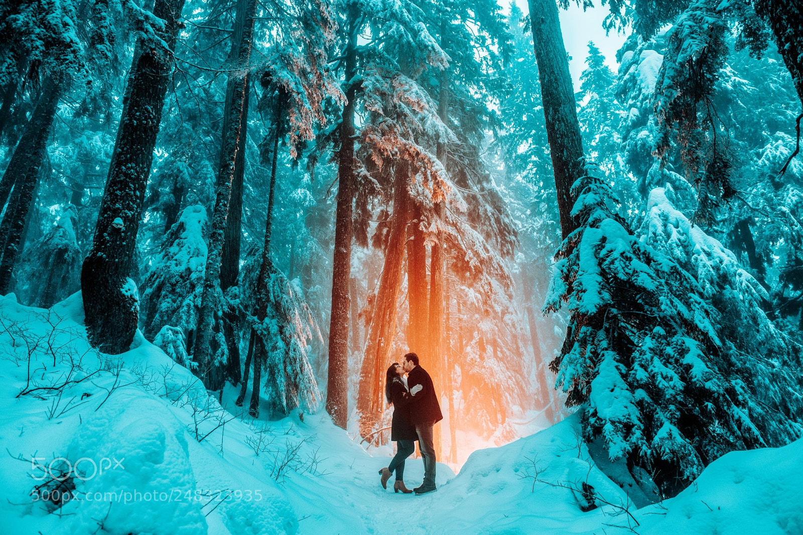 Nikon D850 sample photo. Untitled photography