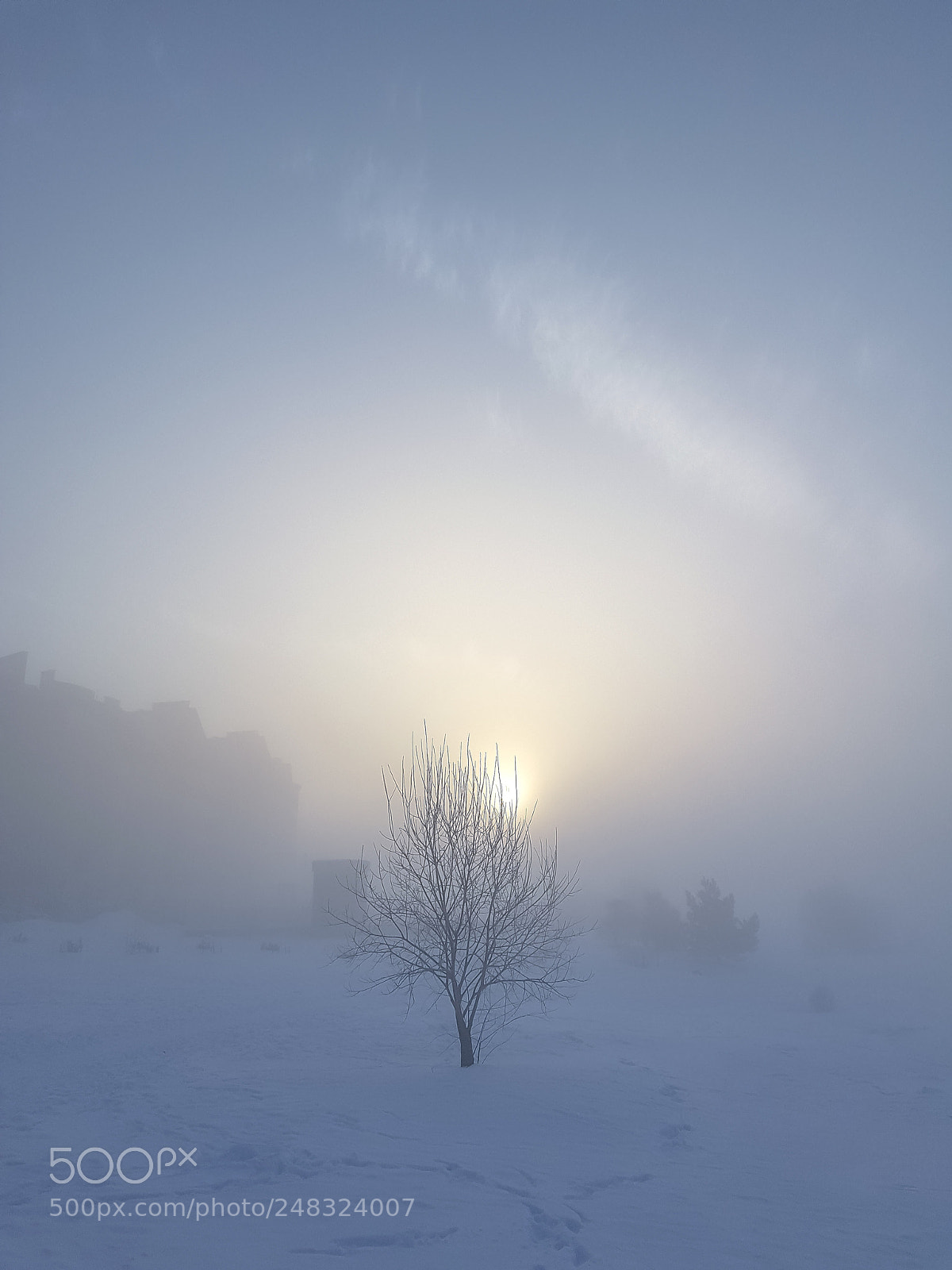 Samsung Galaxy S7 sample photo. Foggy sun photography