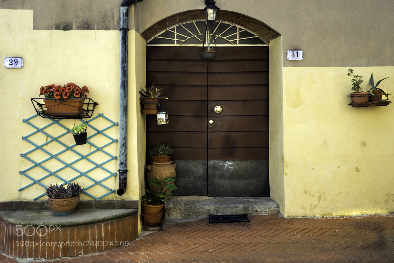 Sony a7 II sample photo. Porta e fiori photography