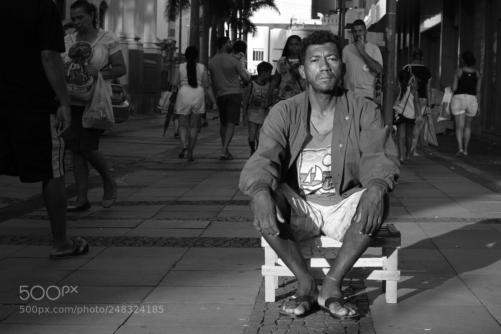 Canon EOS 60D + Canon EF 50mm F1.8 II sample photo. Untitled photography