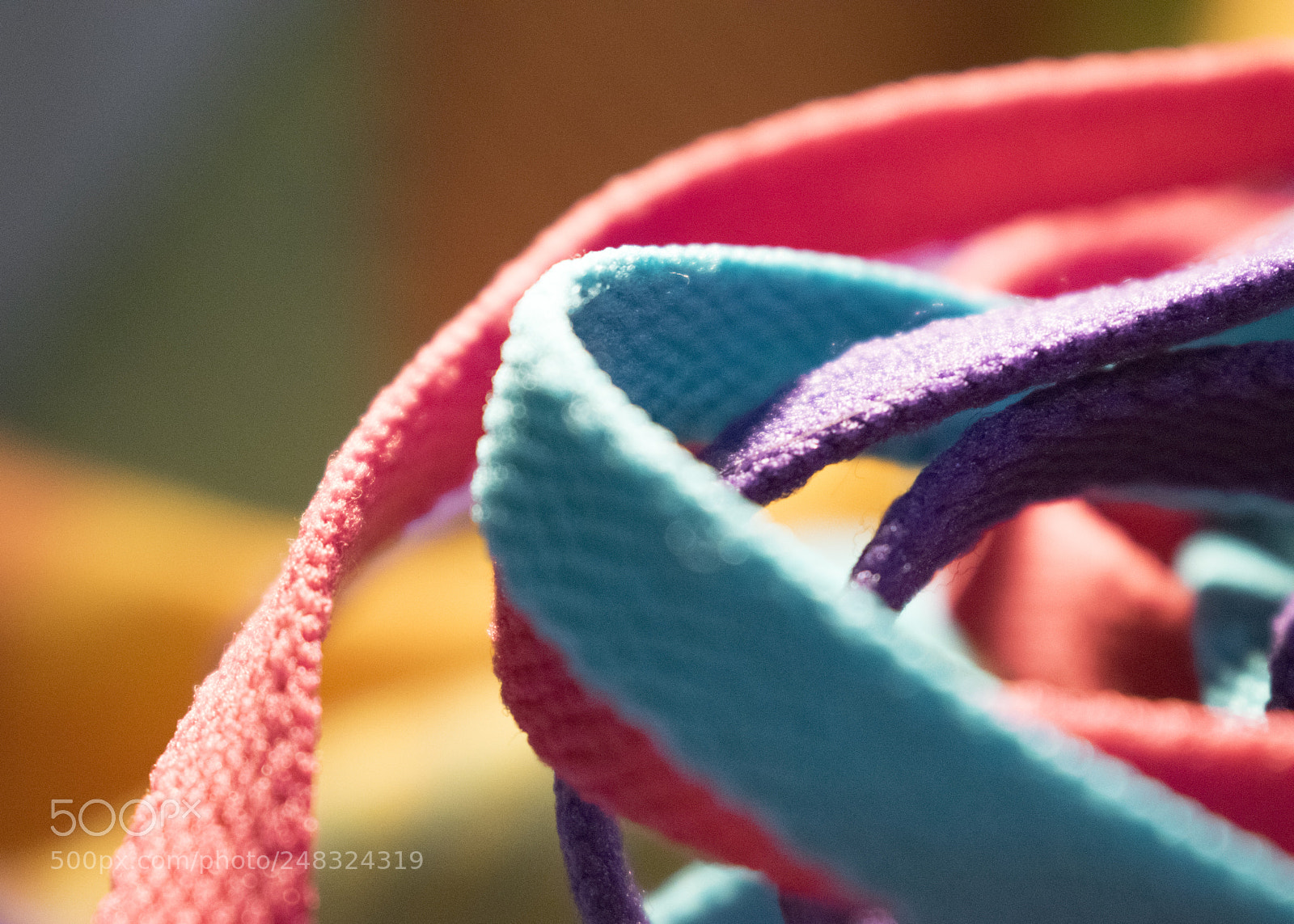 Nikon D5300 sample photo. Colors photography