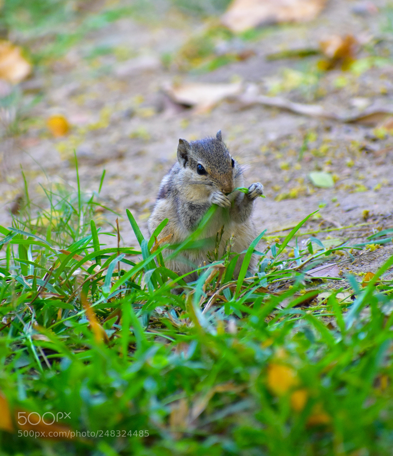 Nikon D3400 sample photo. Untitled photography