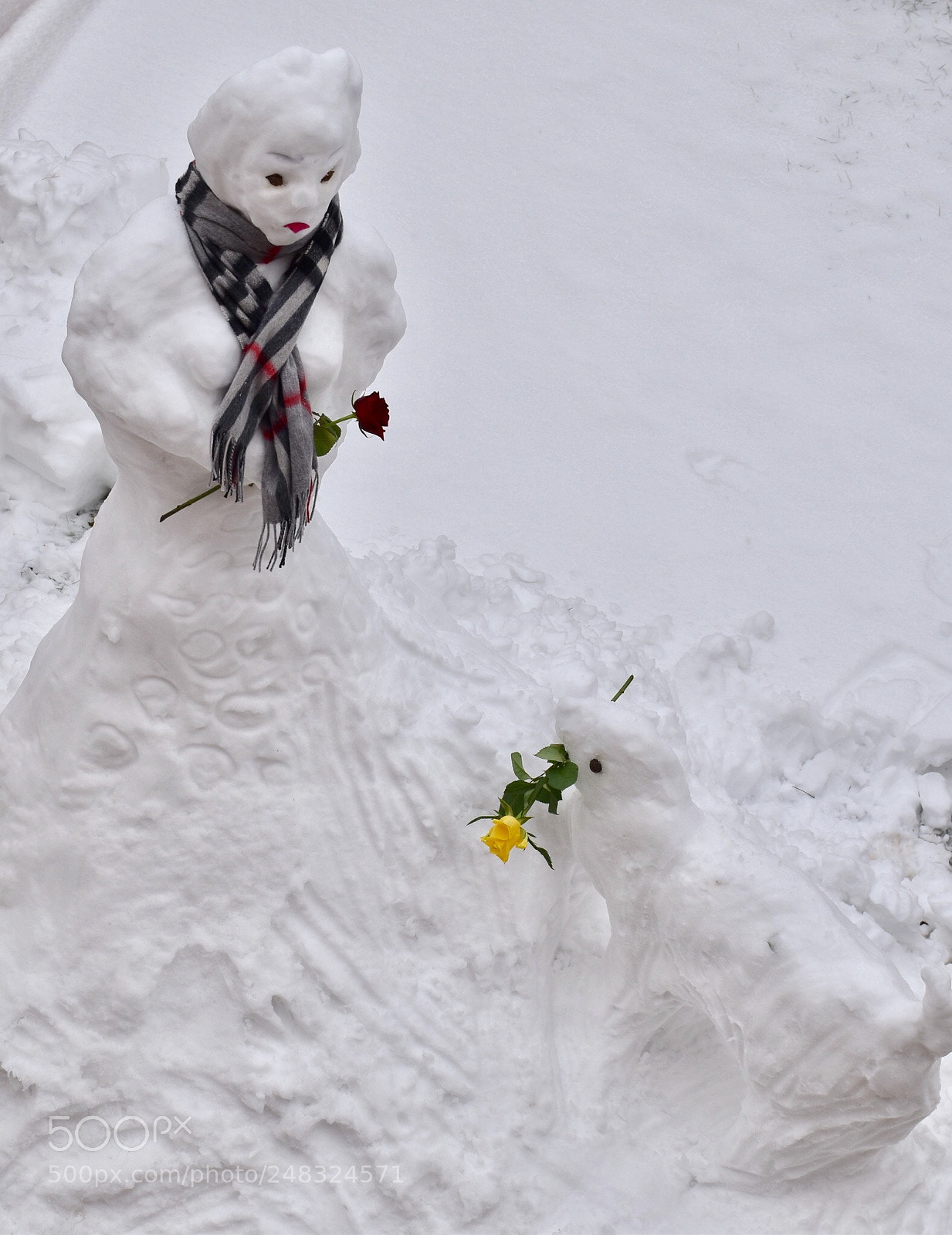 Nikon D5500 sample photo. Snow bride and a photography