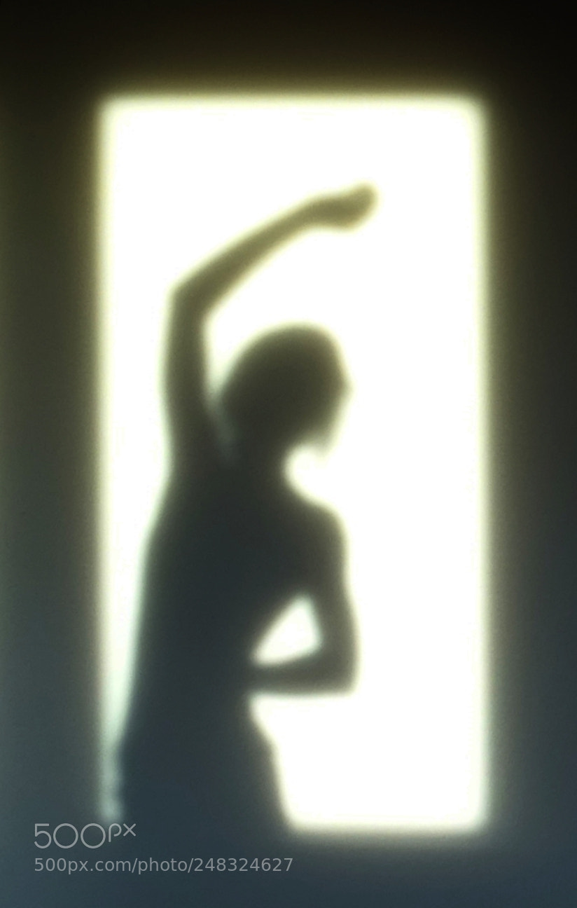 Sony Cyber-shot DSC-HX400V sample photo. Schatten im fenster photography