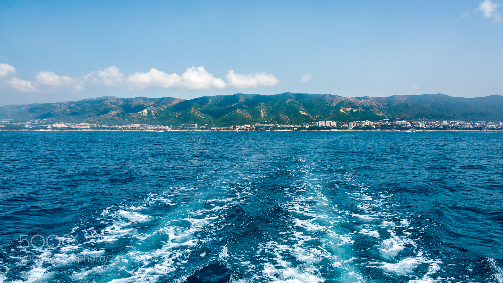 Nikon D810 sample photo. Marine speciesю photography