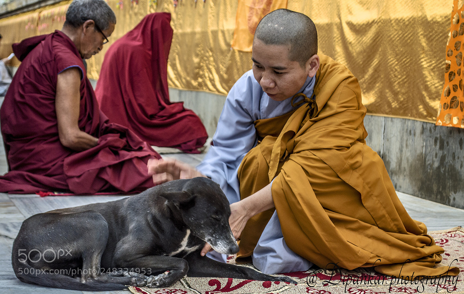 Nikon D3200 sample photo. Compassion photography
