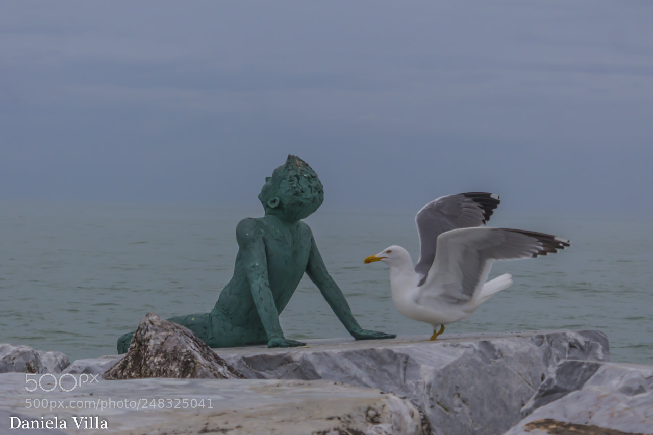 Canon EOS 700D (EOS Rebel T5i / EOS Kiss X7i) sample photo. Ragazzi del moletto .viareggio-toscana. photography