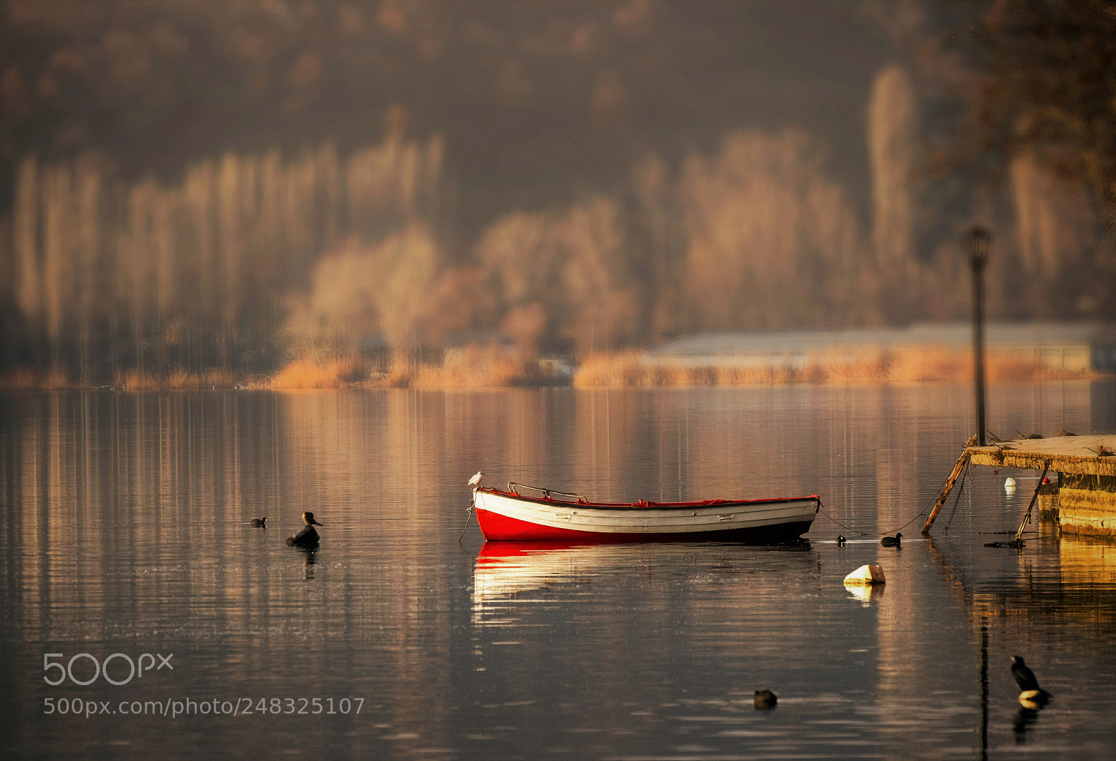 Nikon D5300 sample photo. Peaceful lake photography