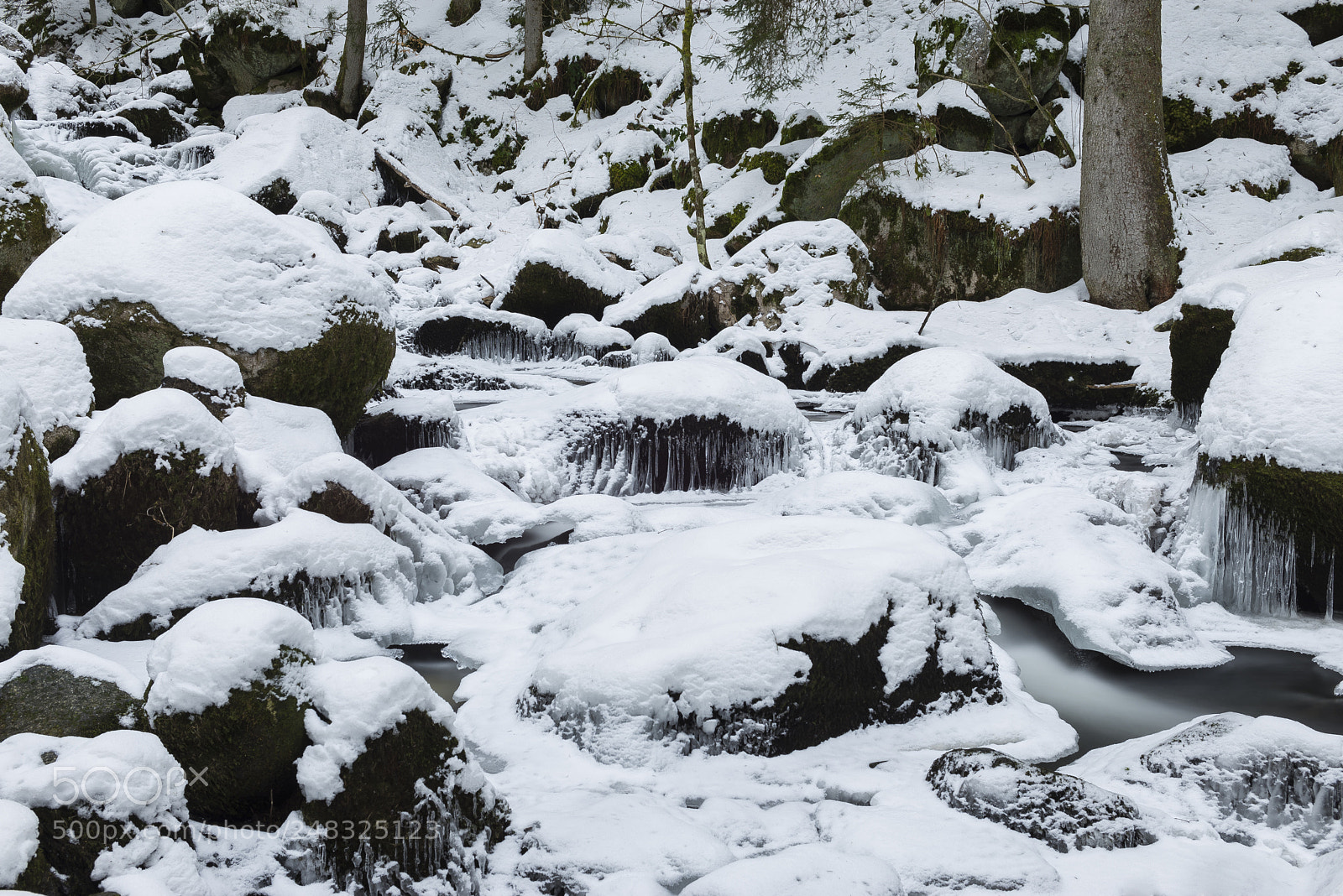 Nikon D610 sample photo. Triberg 2 photography
