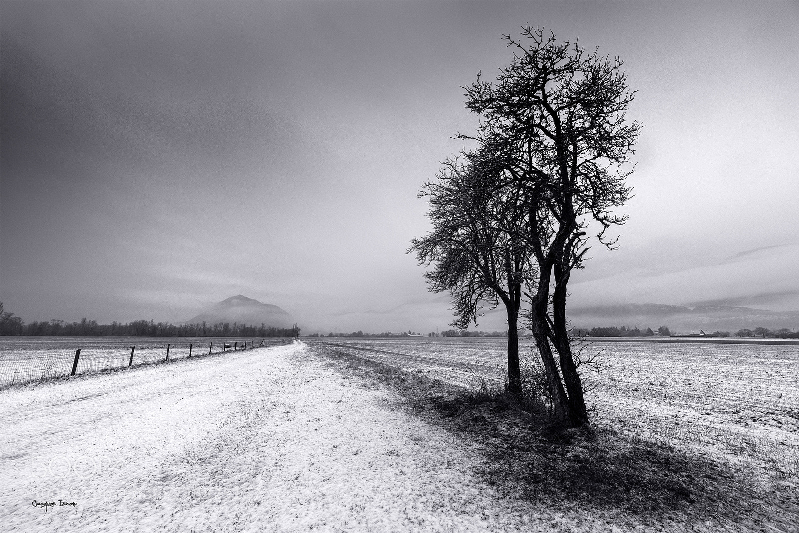 Pentax K-1 sample photo. Solitude photography