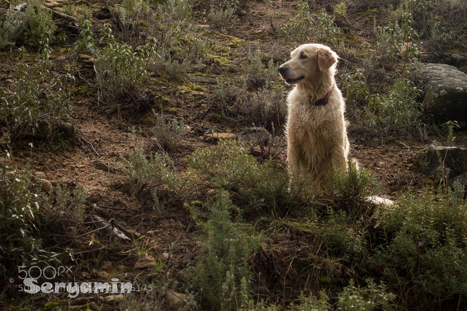 Nikon D3200 sample photo. Hiking. photography