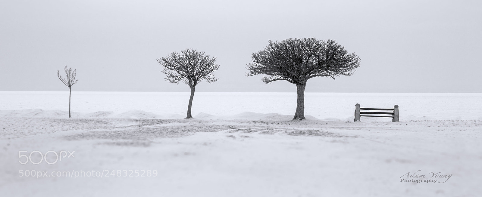 Canon EOS 7D Mark II sample photo. Ice lake(lake balaton) photography