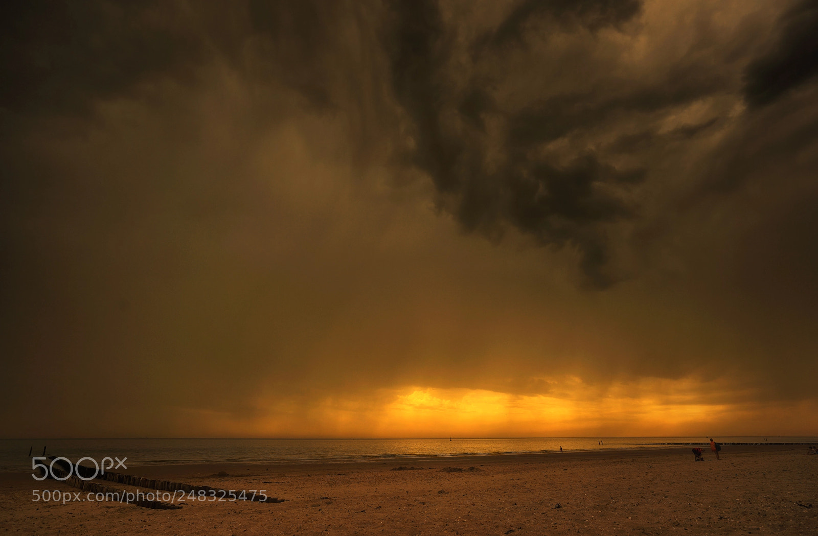 Sony a7R sample photo. Thunder is arriving photography