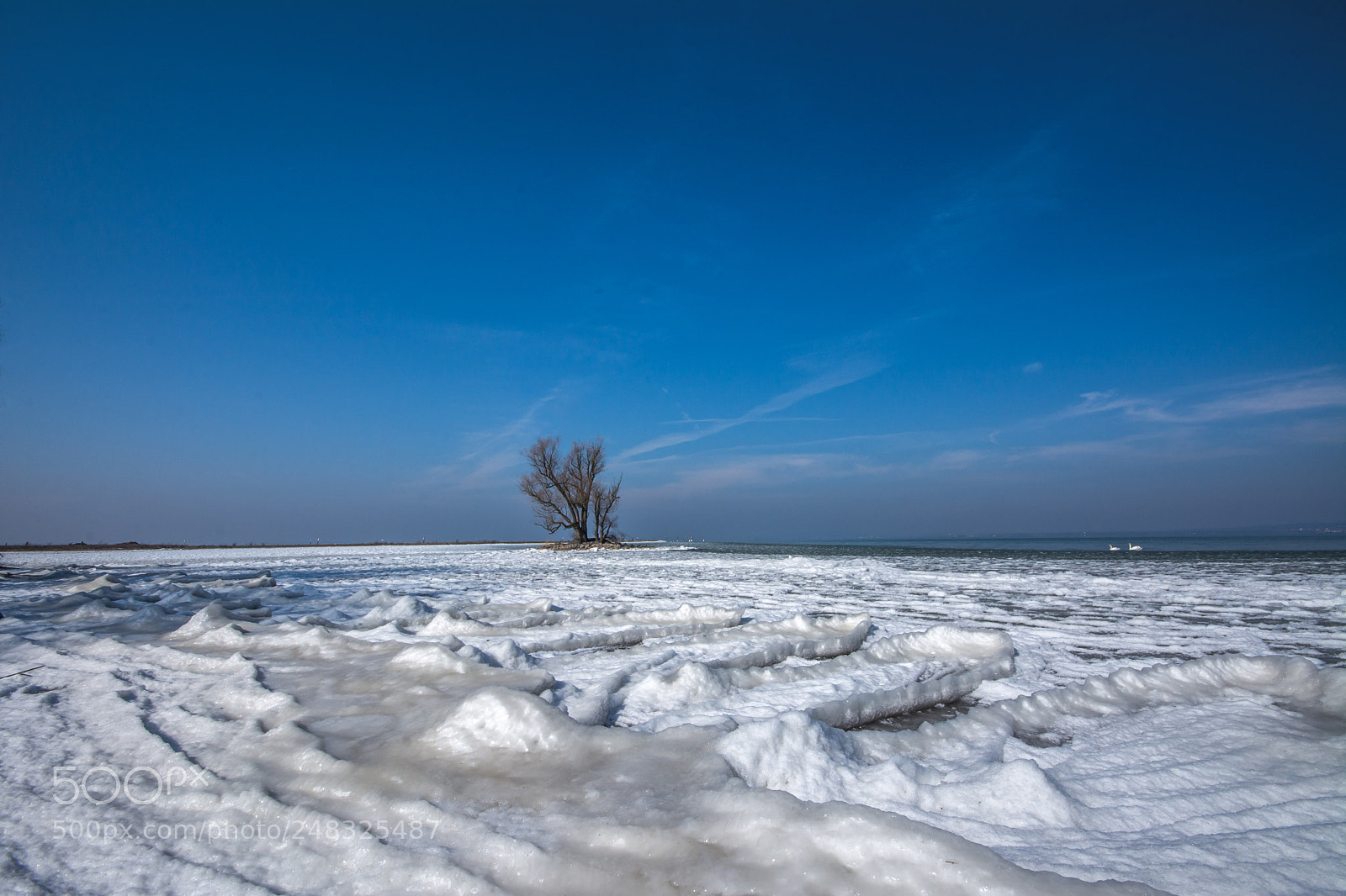 Nikon D7100 sample photo. Eiszeit an der rheinspitz photography