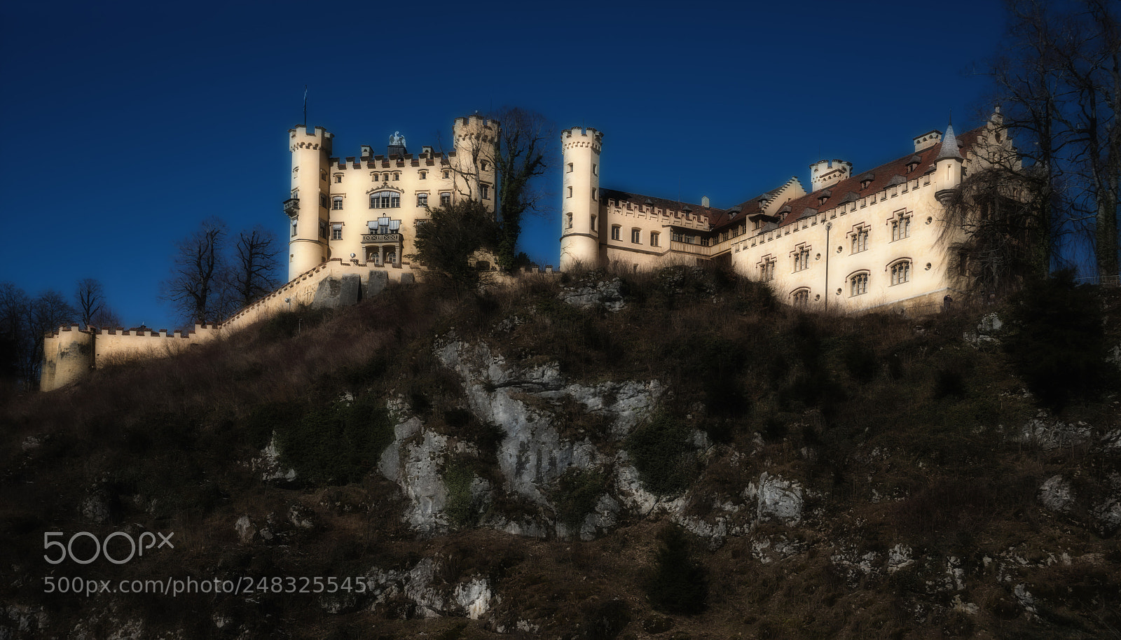 Sony a7R II sample photo. Hohenschwangau photography
