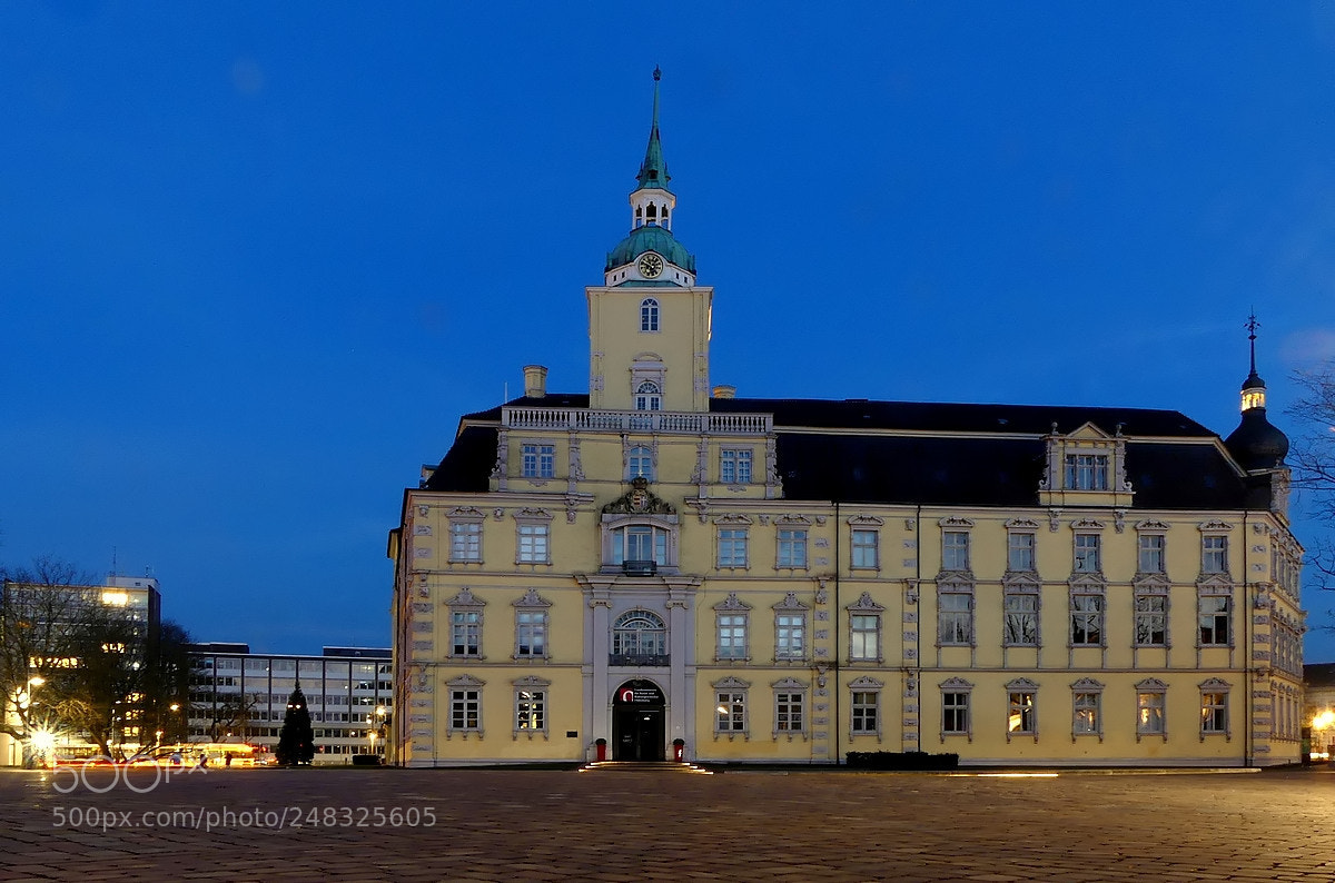 Panasonic Lumix DMC-FZ300 sample photo. Oldenburger schloss photography